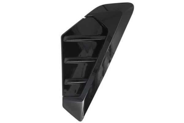 BLIC 5703-08-0098378P Trim/Protection Strip, wing