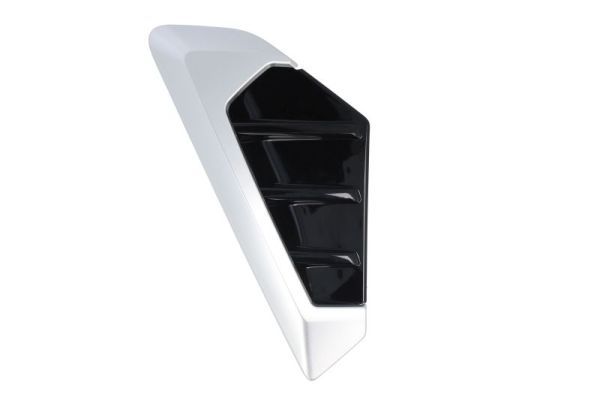 BLIC 5703-08-0098379P Trim/Protection Strip, wing