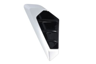 Trim/Protection Strip, wing BLIC 5703-08-0098379P