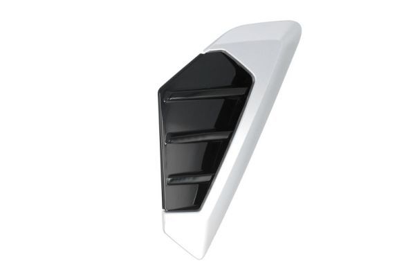 BLIC 5703-08-0098380P Trim/Protection Strip, wing
