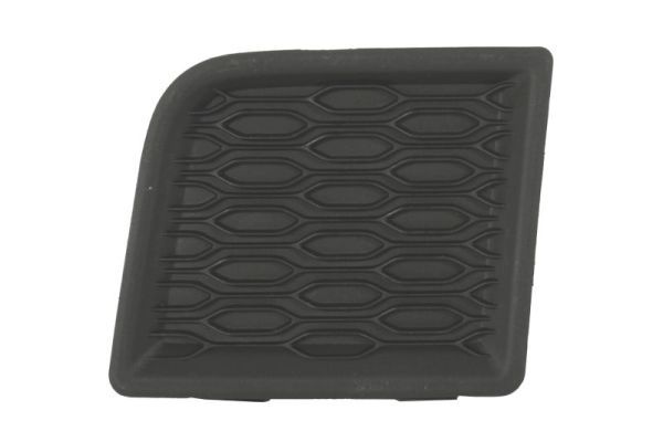 BLIC 5703-08-1306372P Trim/Protection Strip, wing