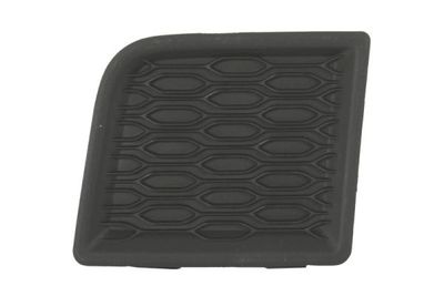 Trim/Protection Strip, wing BLIC 5703-08-1306372P