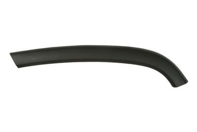 Trim/Protection Strip, door BLIC 5703-08-3206373P