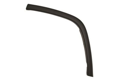 Trim/Protection Strip, door BLIC 5703-08-3206375P