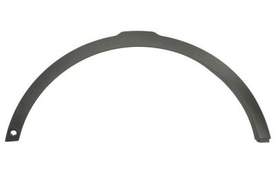 Trim/Protection Strip, wing BLIC 5703-08-6456375P