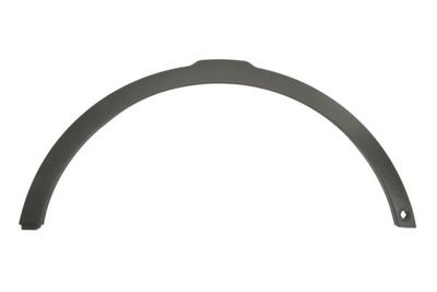 Trim/Protection Strip, wing BLIC 5703-08-6456376P