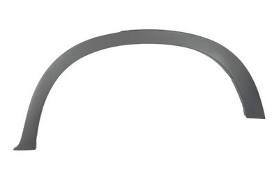 Trim/Protection Strip, wing BLIC 5703-04-0096595P