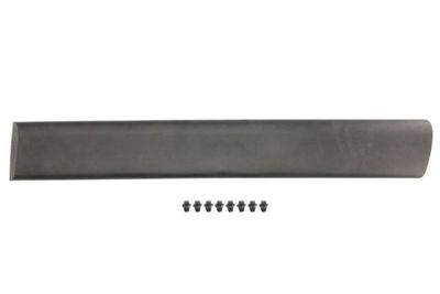 Trim/Protection Strip, wing BLIC 5703-04-0550573P