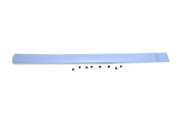 BLIC 5703-04-0550576P Trim/Protection Strip, wing