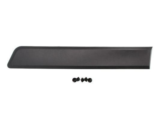 BLIC 5703-04-0553573P Trim/Protection Strip, wing