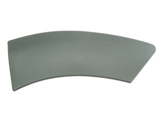 BLIC 5703-04-1305597P Trim/Protection Strip, wing