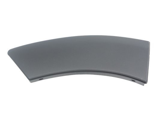 BLIC 5703-04-1305598P Trim/Protection Strip, wing