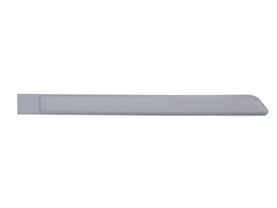 Trim/Protection Strip, wing BLIC 5703-04-2008578P