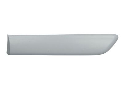 Trim/Protection Strip, wing BLIC 5703-04-2023477P