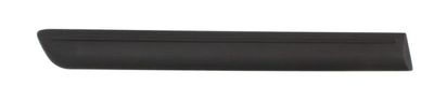 Trim/Protection Strip, wing BLIC 5703-04-2024474P