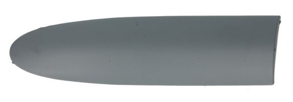 BLIC 5703-04-2031477P Trim/Protection Strip, wing
