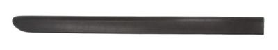 Trim/Protection Strip, wing BLIC 5703-04-2042573P