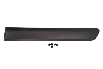 Trim/Protection Strip, wing BLIC 5703-04-2042573PP