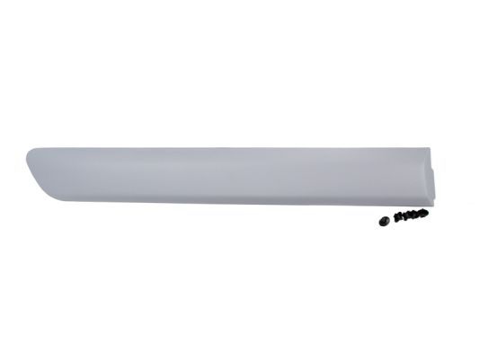 BLIC 5703-04-2042578P Trim/Protection Strip, wing