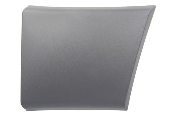 BLIC 5703-04-2097573P Trim/Protection Strip, quarter panel