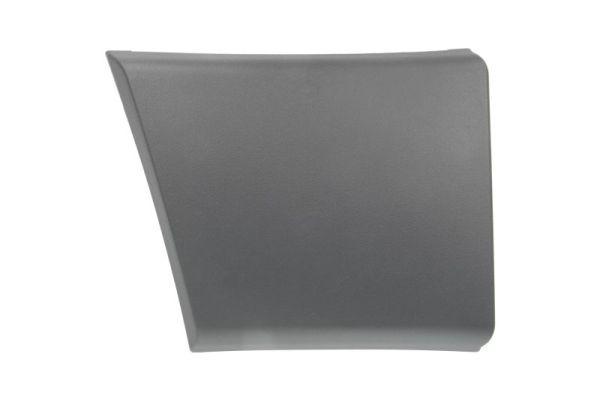 BLIC 5703-04-2097574P Trim/Protection Strip, quarter panel