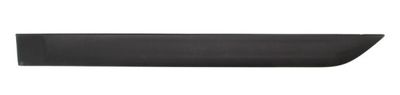 Trim/Protection Strip, wing BLIC 5703-04-2532573P