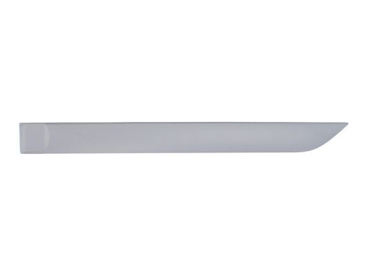 BLIC 5703-04-2532577P Trim/Protection Strip, wing