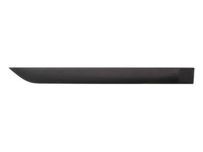 Trim/Protection Strip, wing BLIC 5703-04-2532578P