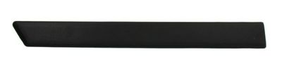 Trim/Protection Strip, wing BLIC 5703-04-2564474P