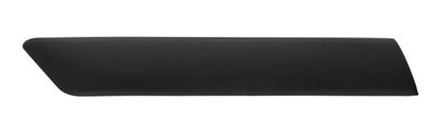 Trim/Protection Strip, wing BLIC 5703-04-2564474PP