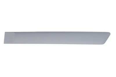 Trim/Protection Strip, wing BLIC 5703-04-2564477CP