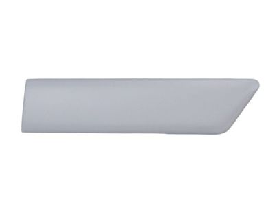 Trim/Protection Strip, wing BLIC 5703-04-2564477PP