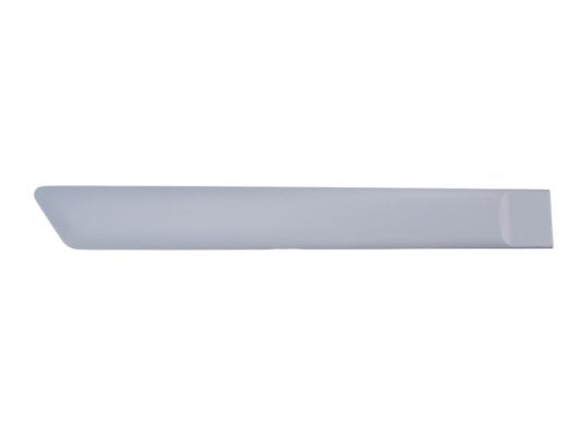 BLIC 5703-04-2564478CP Trim/Protection Strip, wing
