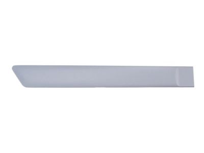 Trim/Protection Strip, wing BLIC 5703-04-2564478CP