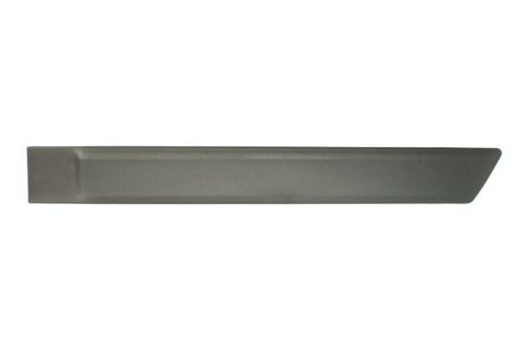 BLIC 5703-04-2576573PP Trim/Protection Strip, wing