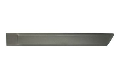 Trim/Protection Strip, wing BLIC 5703-04-2576573PP