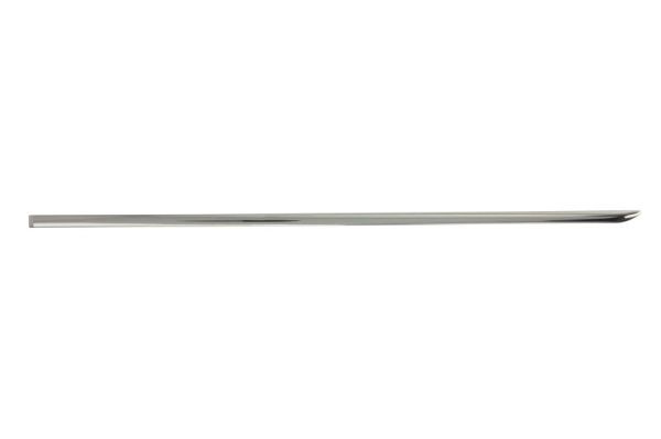 BLIC 5703-04-3518573P Trim/Protection Strip, door