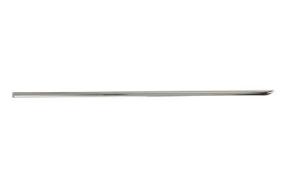 Trim/Protection Strip, door BLIC 5703-04-3518573P