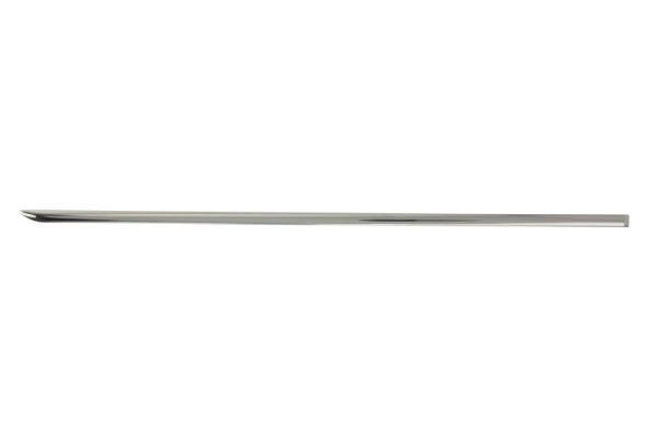 BLIC 5703-04-3518574P Trim/Protection Strip, door