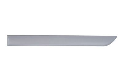 Trim/Protection Strip, wing BLIC 5703-04-5024577P