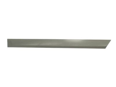 Trim/Protection Strip, wing BLIC 5703-04-5052577P