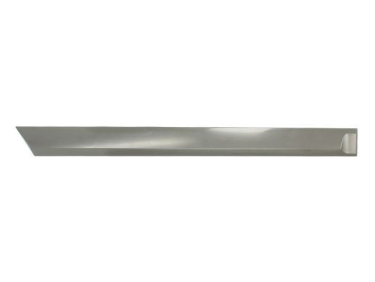 BLIC 5703-04-5052578P Trim/Protection Strip, wing