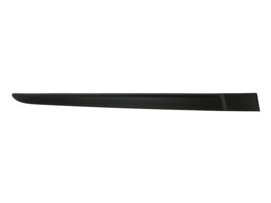 BLIC 5703-04-6033574P Trim/Protection Strip, wing