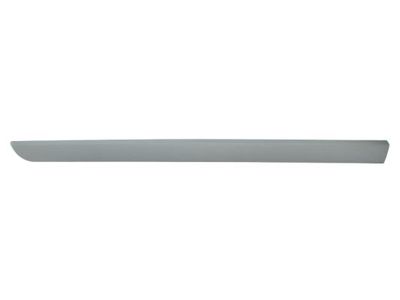Trim/Protection Strip, wing BLIC 5703-04-6042575P
