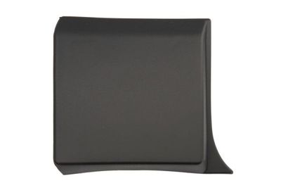 Trim/Protection Strip, wing BLIC 5703-04-6063582PP