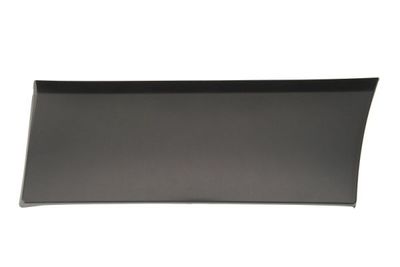 Trim/Protection Strip, wing BLIC 5703-04-6063583PP
