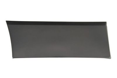 Trim/Protection Strip, wing BLIC 5703-04-6063584P