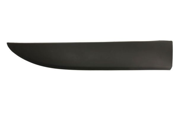 BLIC 5703-04-6063586P Trim/Protection Strip, wing