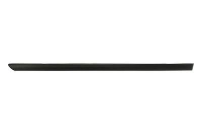 Trim/Protection Strip, wing BLIC 5703-04-9504574SP