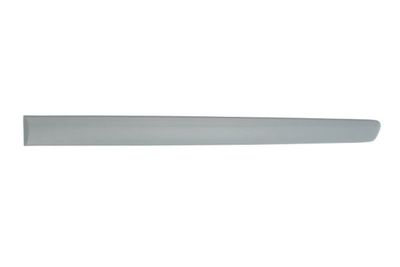 Trim/Protection Strip, wing BLIC 5703-04-9506577P